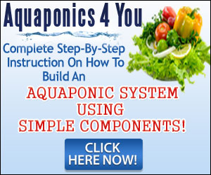 Aquaponics 4 You